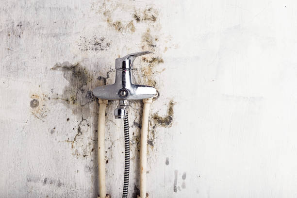 Best Home Mold Removal  in Delcambre, LA