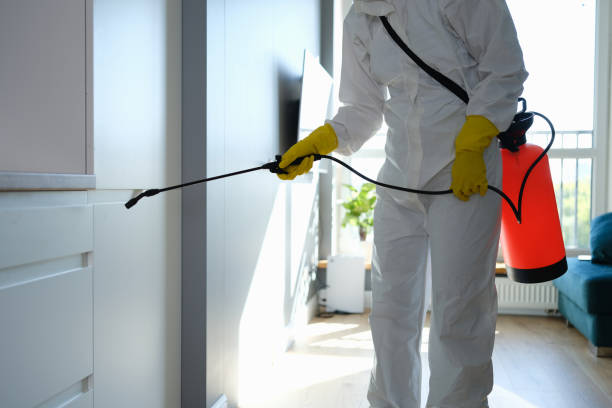 Best Office Mold Removal Services  in Delcambre, LA