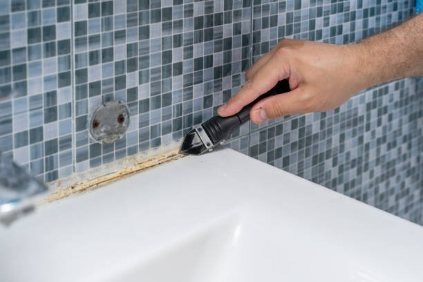Best Office Mold Removal Services  in Delcambre, LA