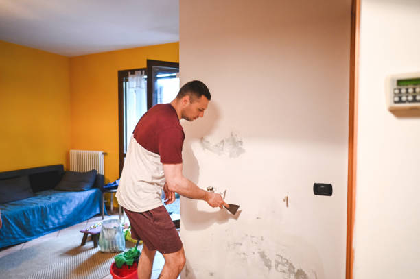 Best Mold Cleaning Services  in Delcambre, LA